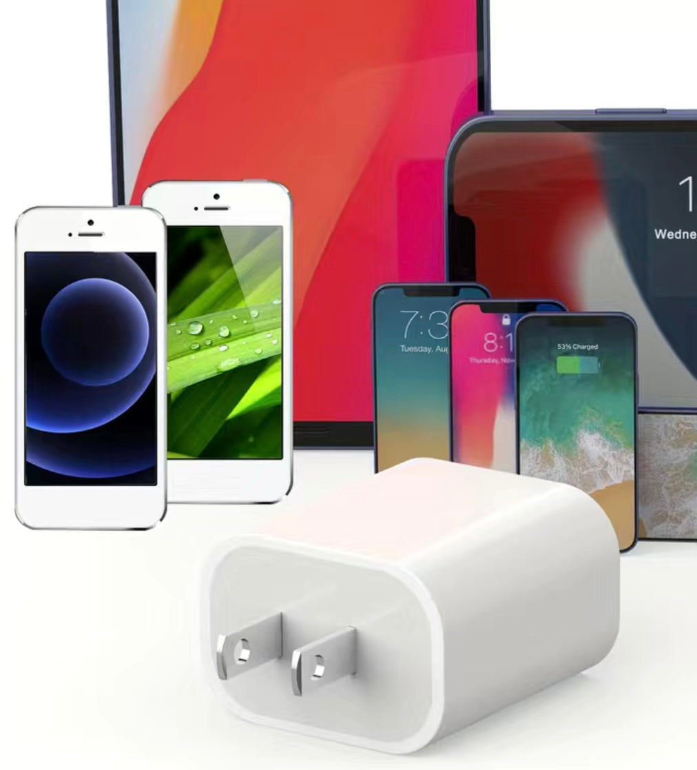 Fast Charger For iPhones Type C to Type C