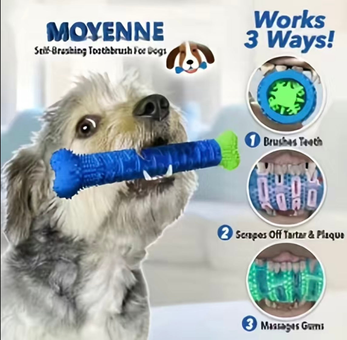 Durable Dog Chew Toy