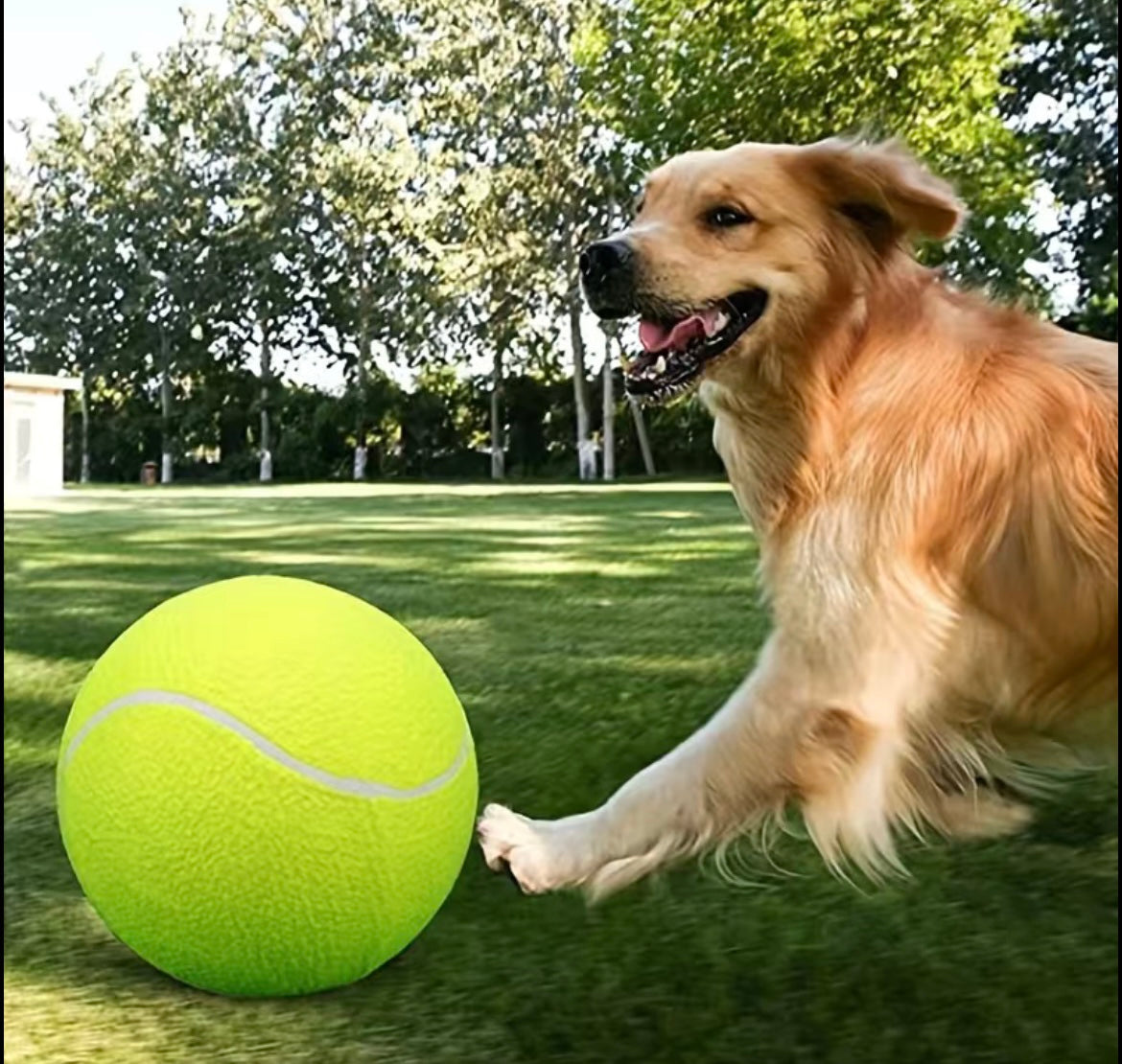 9.5 inch Tennis Ball Large Indoor and Outdoor fun Dog Toys