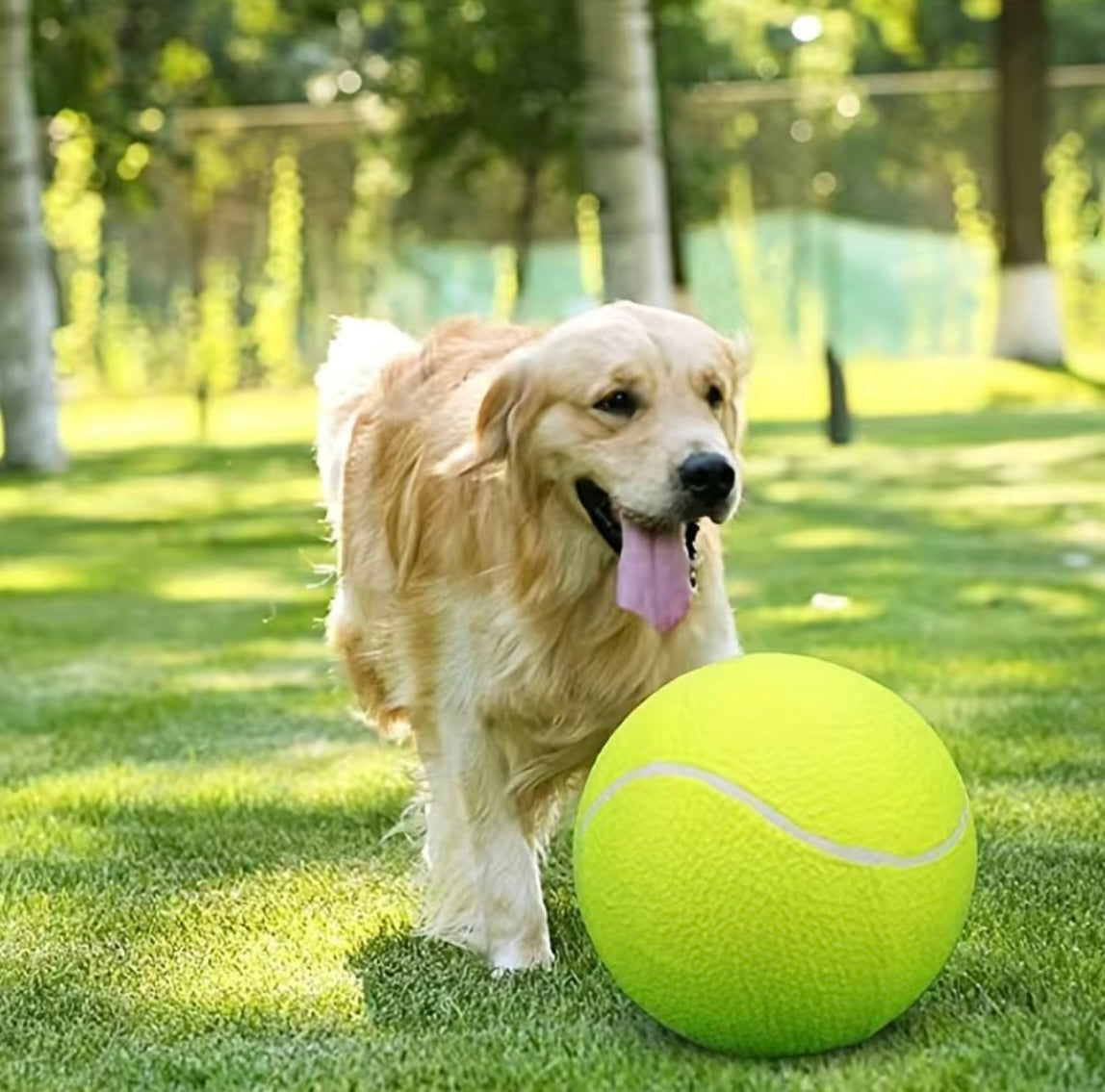 9.5 inch Tennis Ball Large Indoor and Outdoor fun Dog Toys