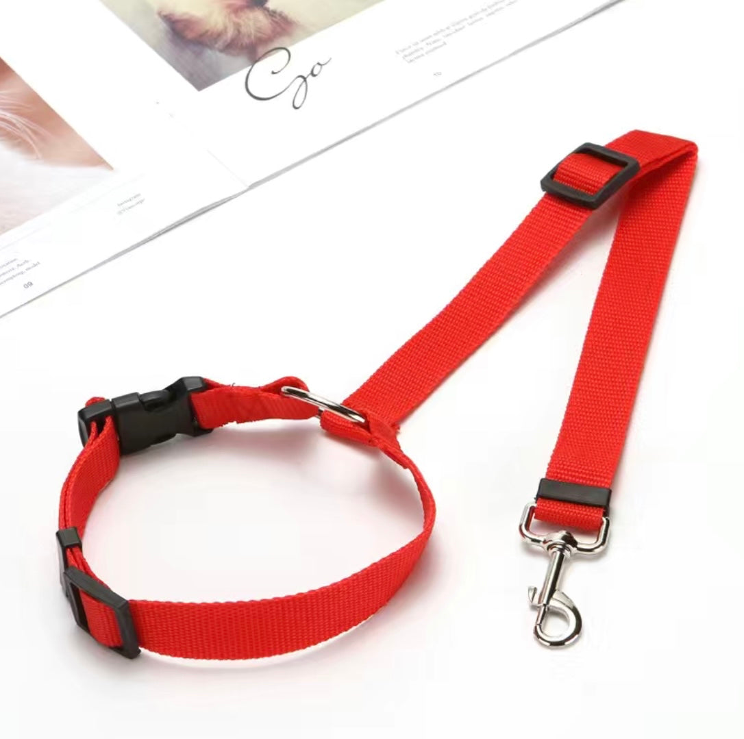 2 in 1 Dog Leash for Car Seat Belt