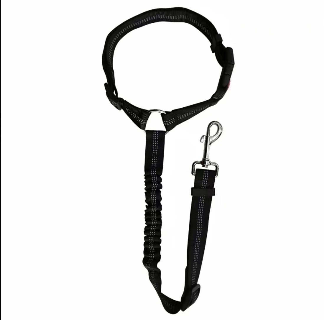 2 in 1 Dog Leash for Car Seat Belt