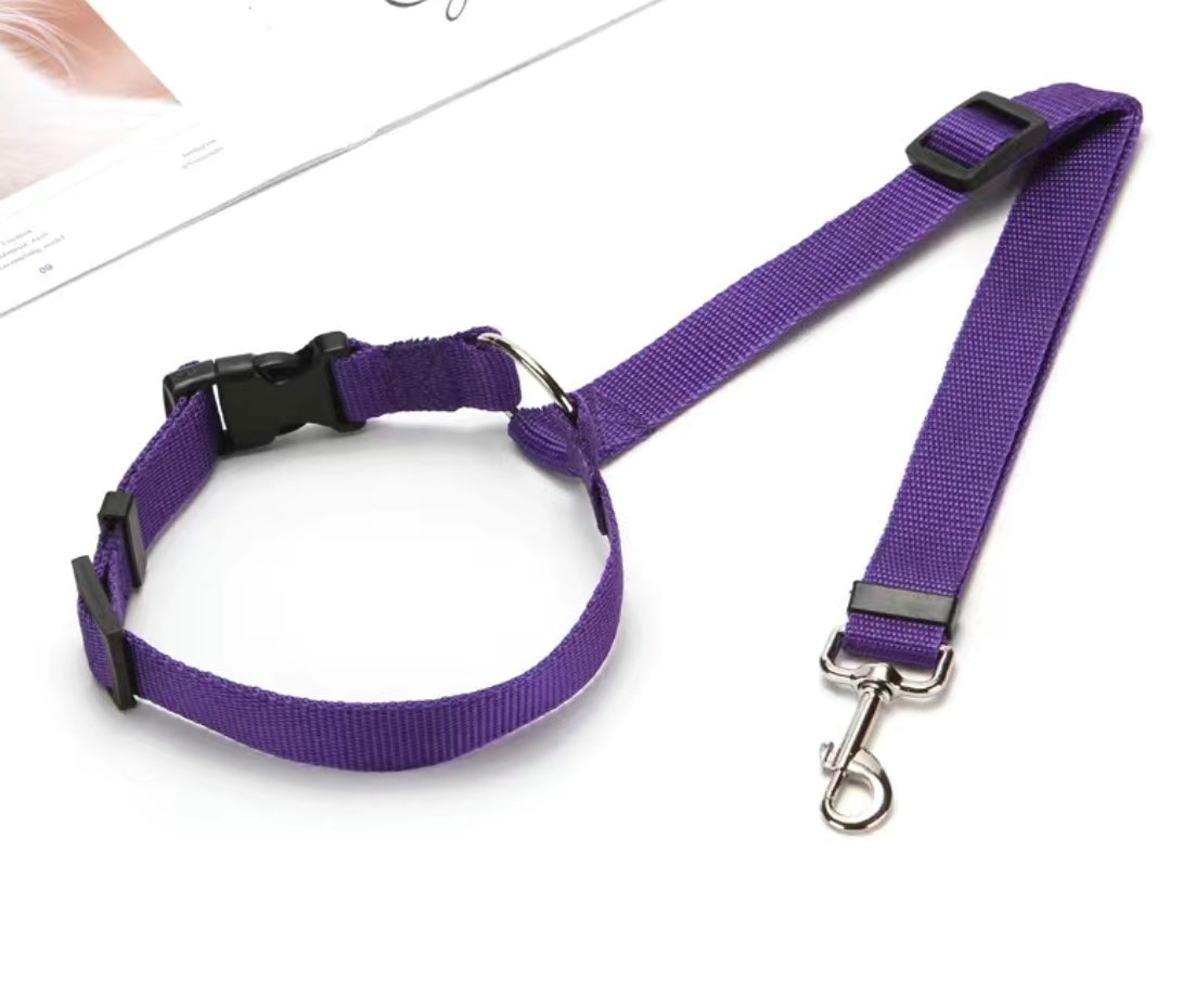 2 in 1 Dog Leash for Car Seat Belt