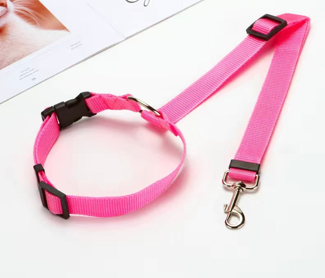 2 in 1 Dog Leash for Car Seat Belt