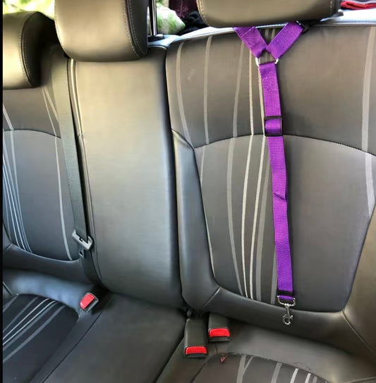 2 in 1 Dog Leash for Car Seat Belt