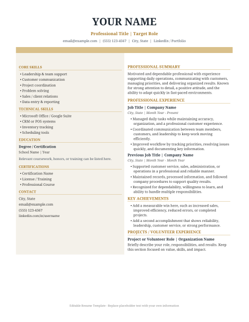 Professional Resume · Navy & Gold — actual source preview